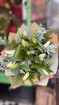Bouquets | Stem styled Lilly