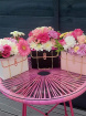Mini Flower Boxes | Mini Flower Box with Gold Handle