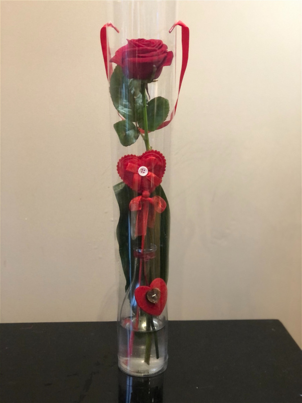 Valentine's Day | I love you rose