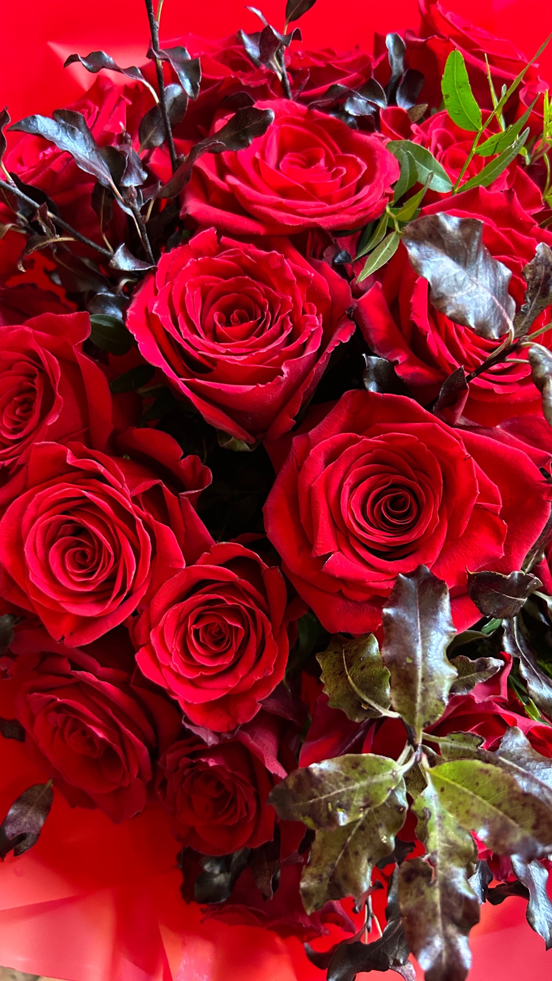 Wildthings Florist Glasgow | Glasgow | Home