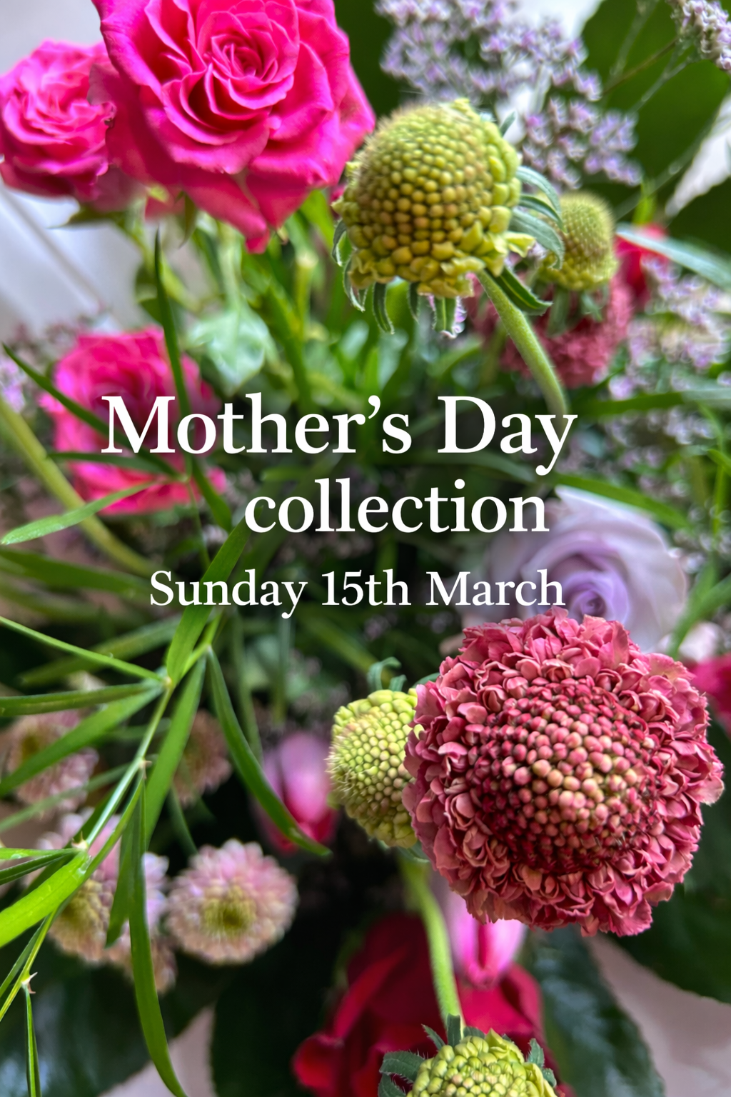 Wildthings Florist Glasgow | Glasgow | Home