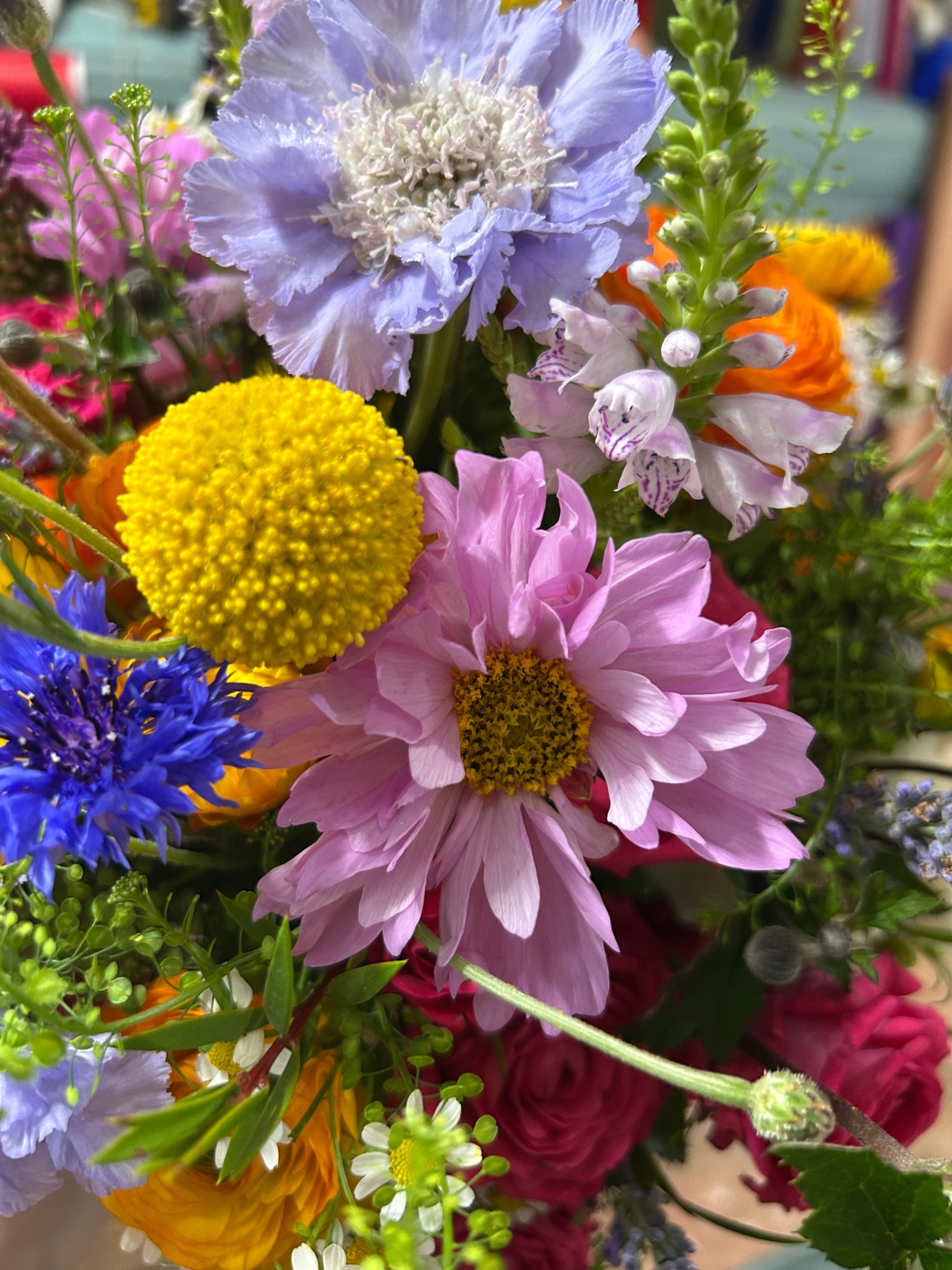 Wildthings Florist Glasgow | Glasgow | Home