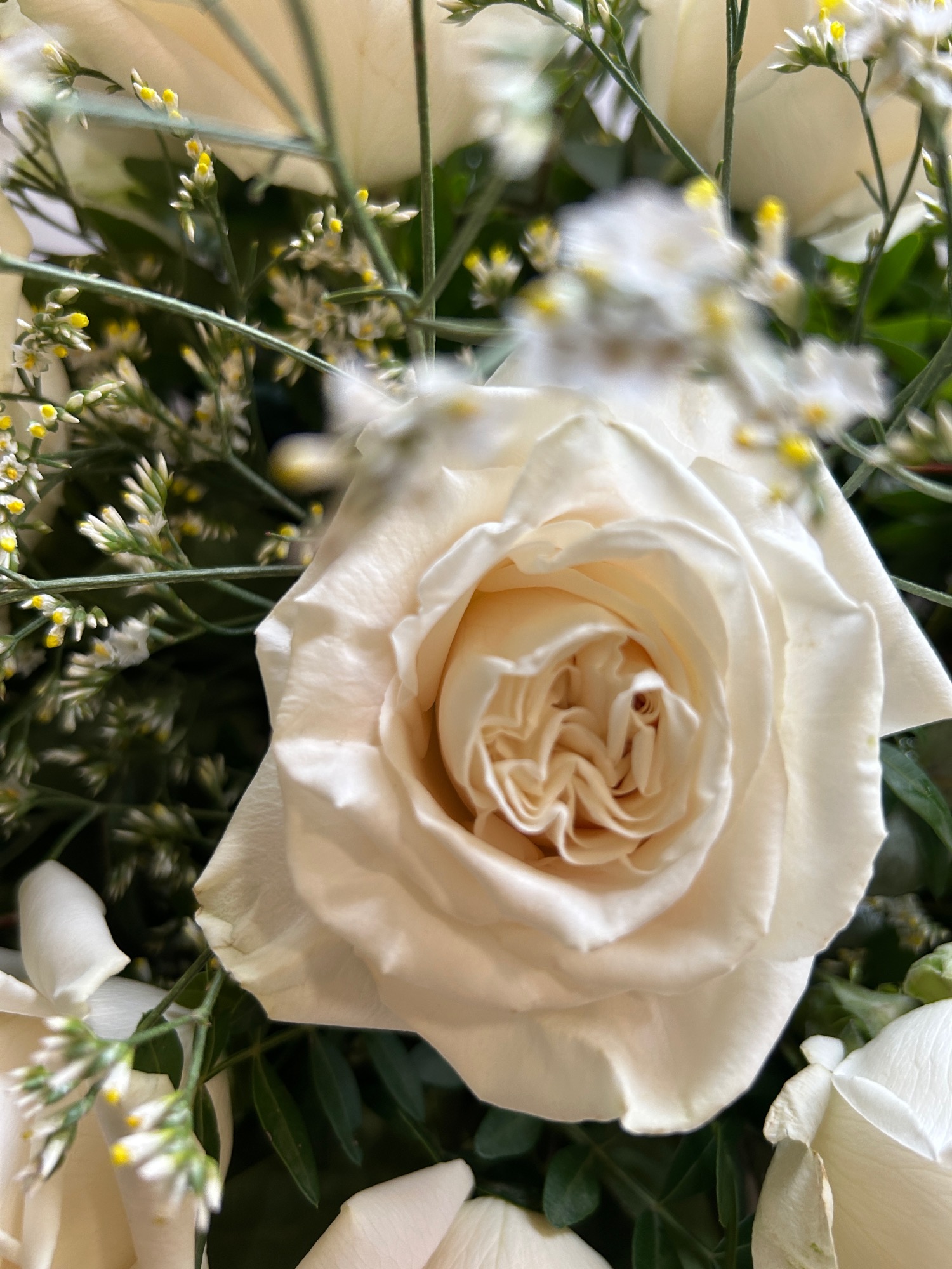 Wildthings Florist Glasgow | Glasgow | Home