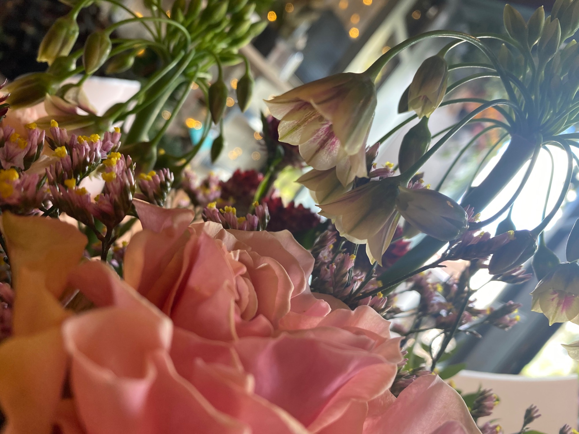 Wildthings Florist Glasgow | Glasgow | Home