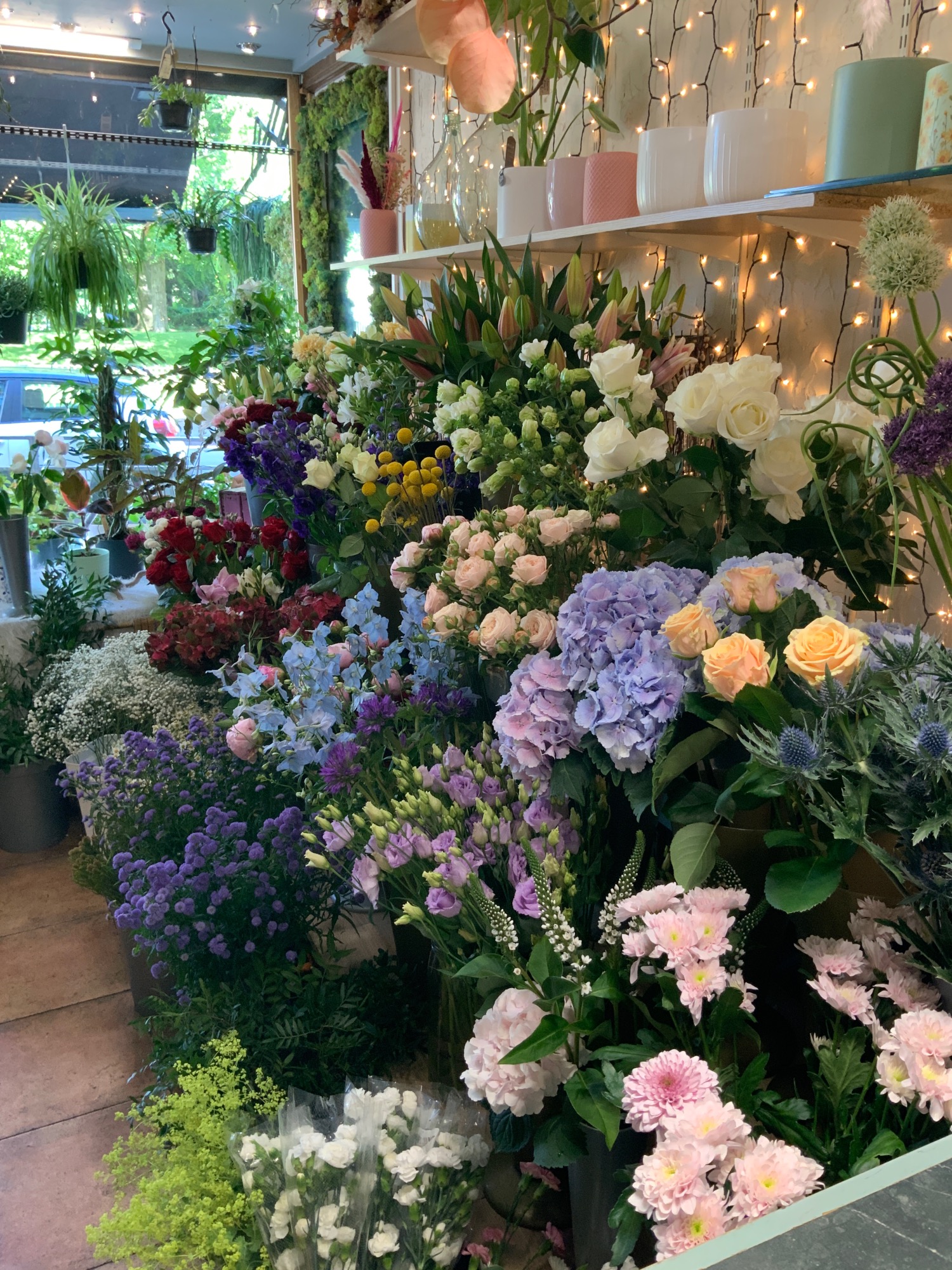 Wildthings Florist Glasgow | Glasgow | Home