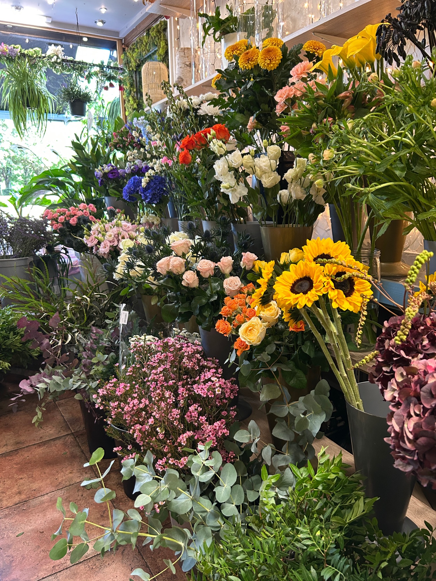 Wildthings Florist Glasgow | Glasgow | Home