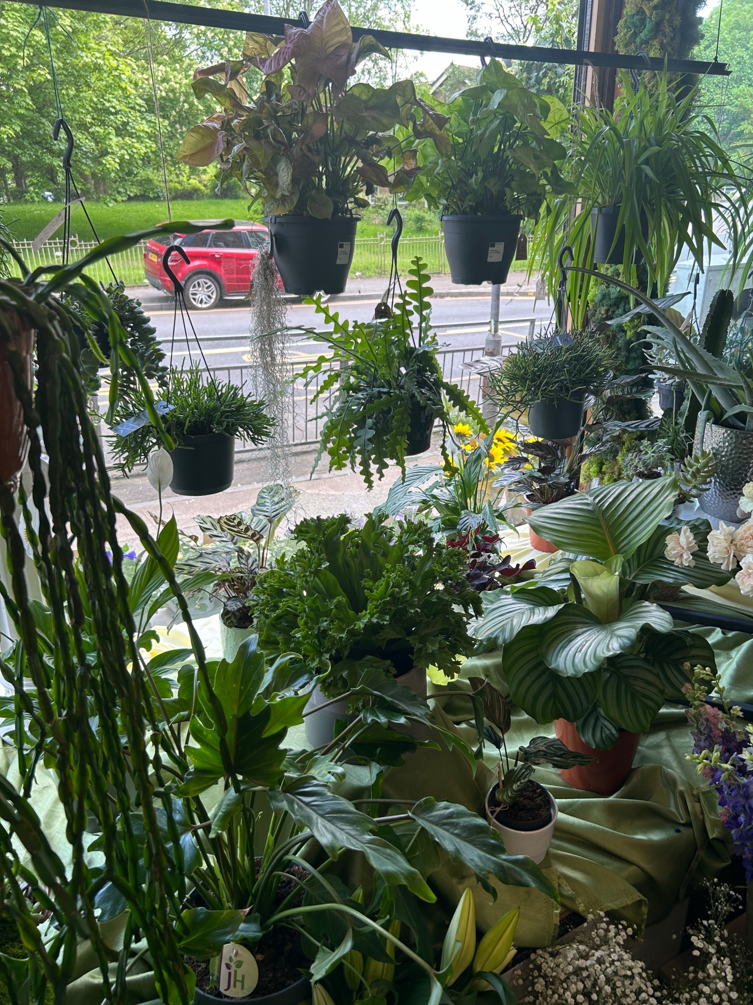 Wildthings Florist Glasgow | Glasgow | Home