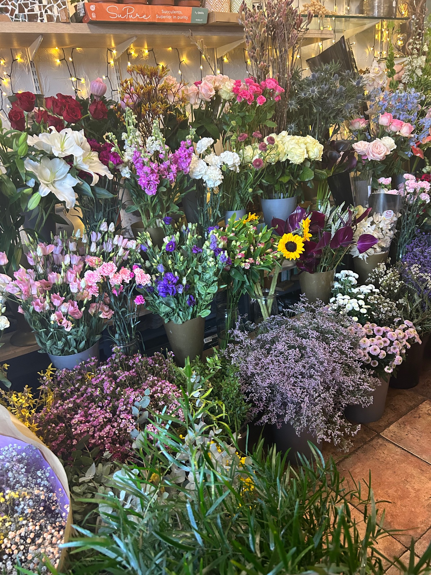 Wildthings Florist Glasgow | Glasgow | Home