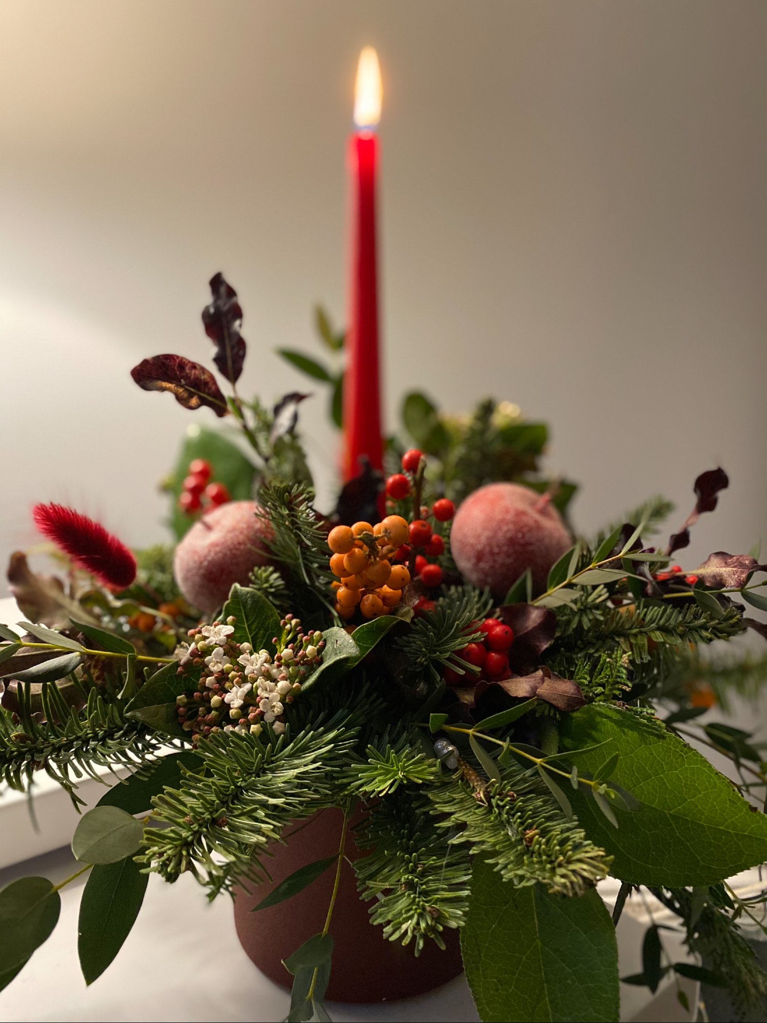 Wildthings Florist Glasgow | Glasgow | Home