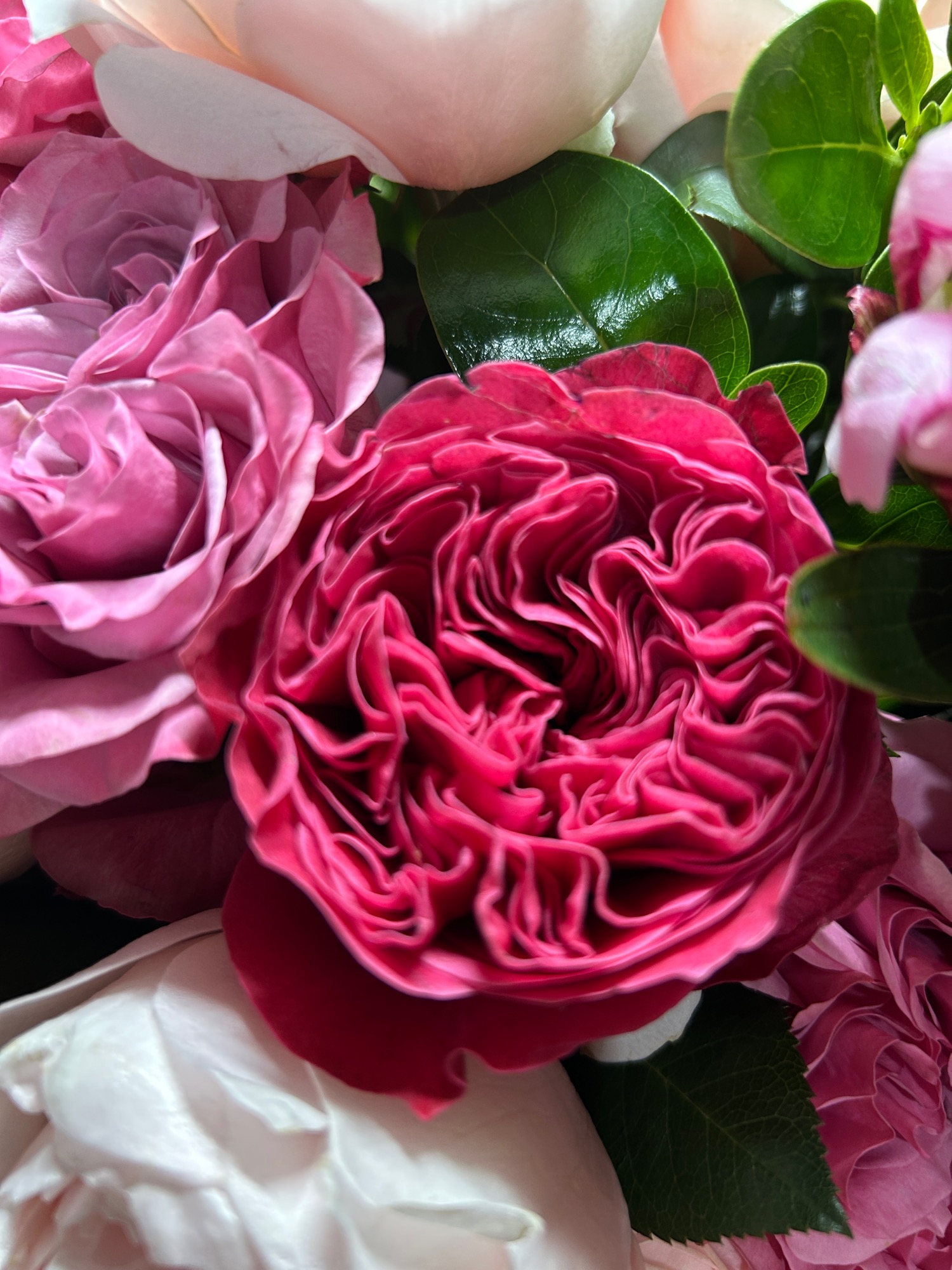 Wildthings Florist Glasgow | Glasgow | Home