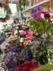 Wildthings Florist Glasgow | Glasgow | Contact