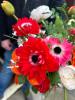 Wildthings Florist Glasgow | Glasgow | Weddings