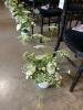 Wildthings Florist Glasgow | Glasgow | Weddings