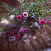 Wildthings Florist Glasgow | Glasgow | Weddings
