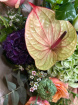 Luxury Flower ~ Collection | Autumn Treat ~Hand-tied Bouquet
