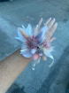 Dried Buttonholes And Dried Bag Corsage , Wrist Corsages  | Dried Buttonholes/Corsage