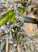 Dried Floral Wreaths | Winter Greens ~ Dried Floral Wreath