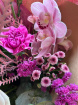 Mother's Day Flowers 30th March  | Pink Perfection ~ Boxed Hand-Tie