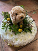 Posies | Plush Dog On All Round ~ Posy