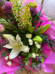 Boxed Hand-Ties  | Indian Summer ~ Boxed Hand-Tied