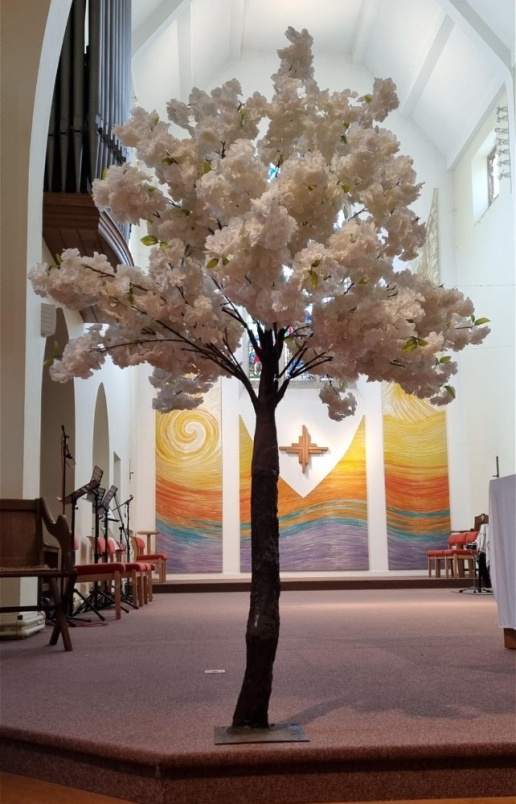 Hire Range | Large Blossom Trees