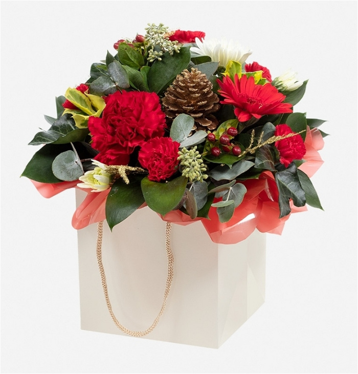 Christmas Collection | Deck the Halls