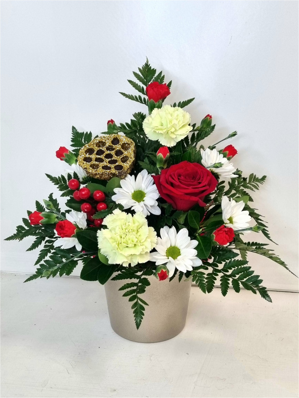 Christmas Collection | Pot of Joy