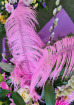 Add ons | Upsell gifts | Add Large Feathers