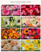 All Occasions | Mothers Day Collection | Valentines Collection | Design your own