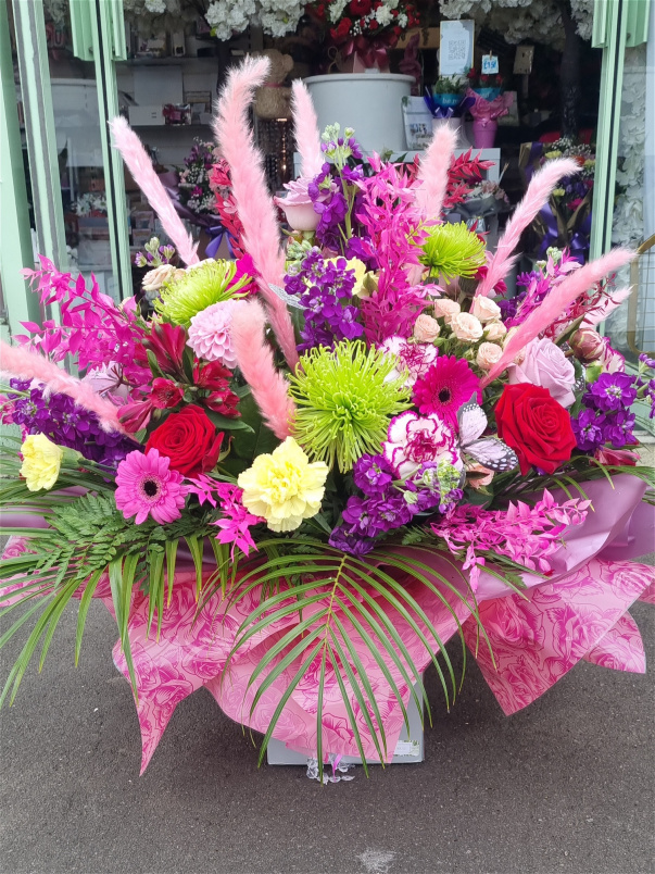 All Occasions | Supernova