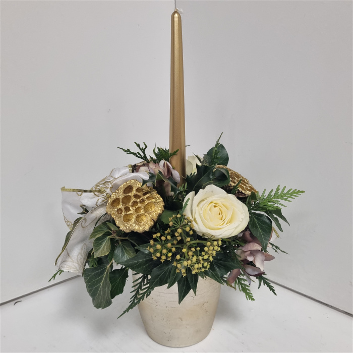 Christmas Collection | Golden Glow