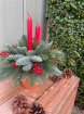 Christmas Arrangements | View all Christmas | Potted Arrangement