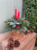 Christmas Arrangements | View all Christmas | Potted Arrangement