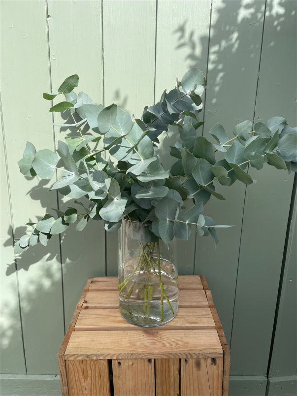 Christmas Flowers | View all Christmas | Eucalyptus Bunch