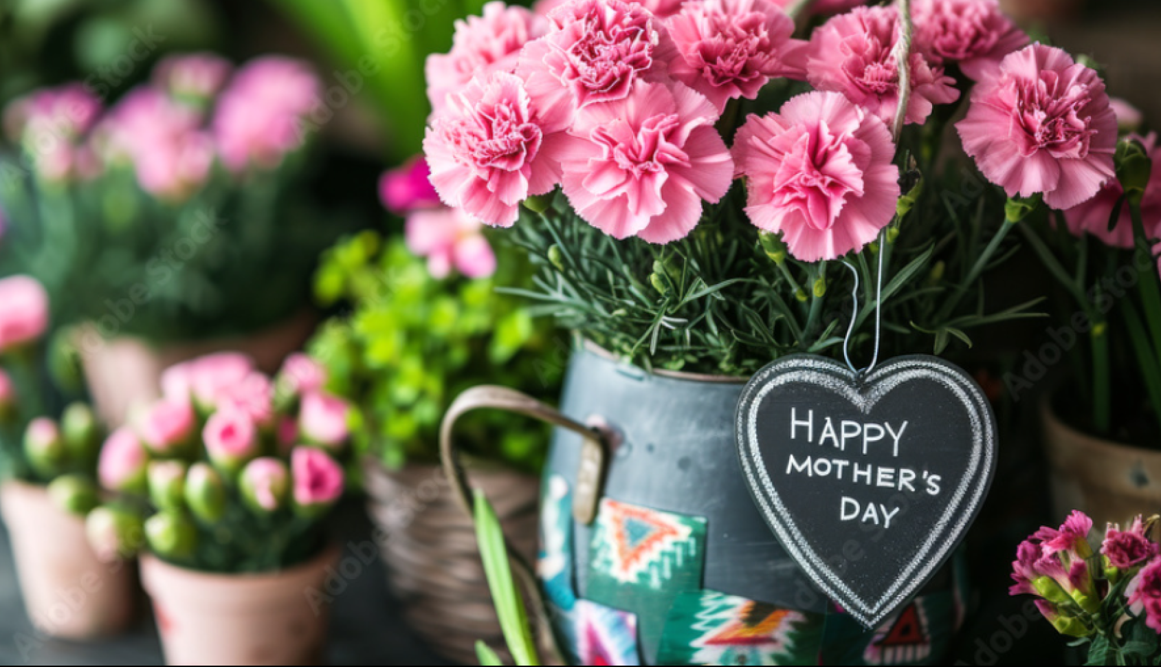 Flower Gallery Lincoln | Lincoln | Home