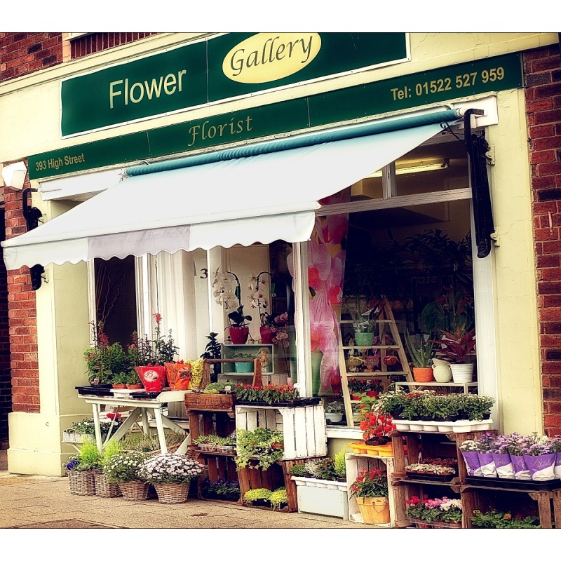 Flower Gallery Lincoln | Lincoln | Home