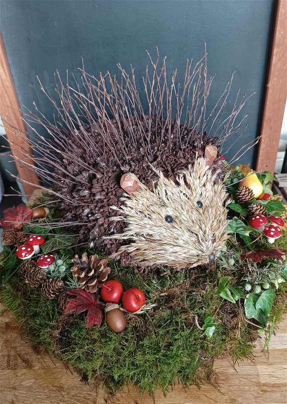 Funeral tributes | Hedgehog Funeral Tribute