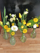Easter collection | Under £40 | The Little Buddies Vases