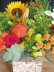 Autumn collection | Bouquets & Arrangements | Pumpkin Patch