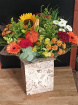 Autumn collection | Bouquets & Arrangements | Pumpkin Patch
