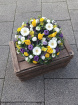 Funeral tributes | Posy pad: yellow, white, purple