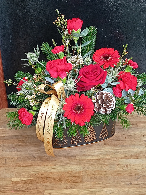 Christmas Collection 2025 | Touch of Christmas