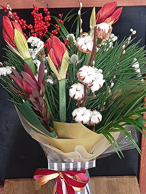 Christmas Collection 2025 | Luxury Red Amaryllis