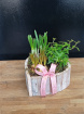 Mother's Day Collection | Mother's Day Plants | Mother's Day Planter