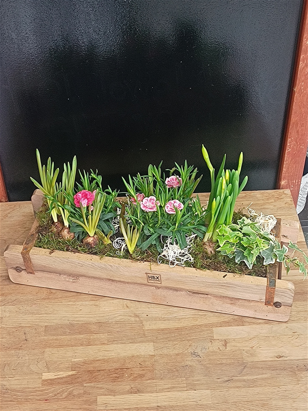 Mother's Day Collection | Mother's Day Plants | Spring collection | Spring Bulbs Wooden Brick Planter