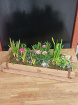 Mother's Day Collection | Mother's Day Plants | Spring collection | Spring Bulbs Wooden Brick Planter