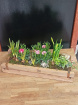 Mother's Day Collection | Mother's Day Plants | Spring collection | Spring Bulbs Wooden Brick Planter