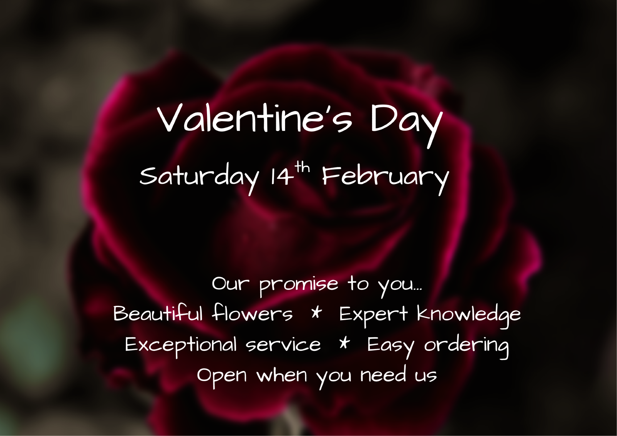Forever Green Florist | Holmfirth | Home