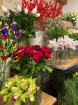 Valentines Day Saturday 14th February 2026 | Valentines - FLORIST CHOICE