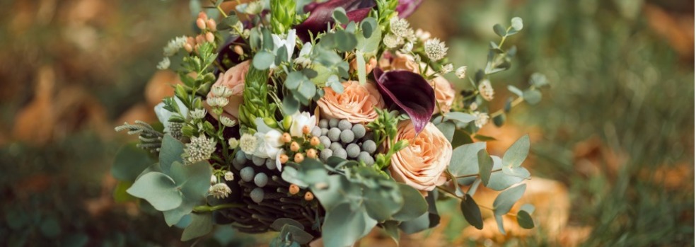 <? $img->alt_text ?>